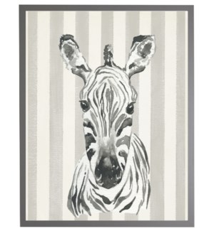 18X24 2400-55 ZU Watercolor baby Zebra on grey stripes